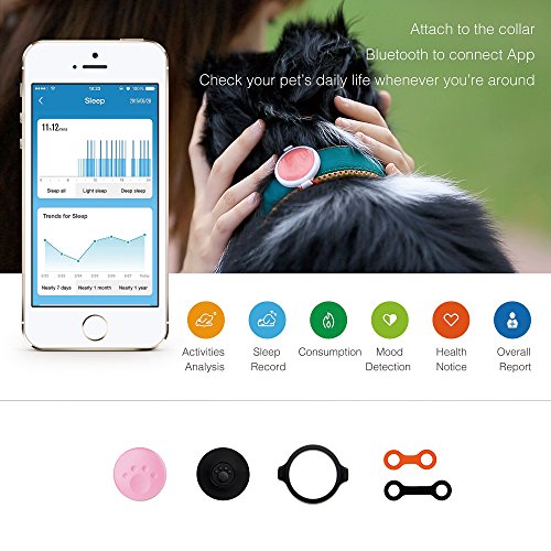 PETKIT Pet Activity Monitor for Dogs and Cats - Activity Monitoring - Sleep Tracking - Calorie Expenditure - Mood Detection - Health Analysis