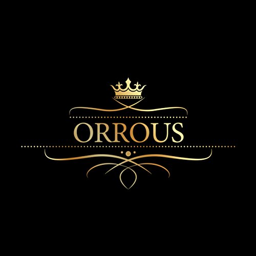 ORROUS & CO Women's 18K White Gold Plated Cubic Zirconia Cushion Shape Halo Stud Earrings (1.90 carats)