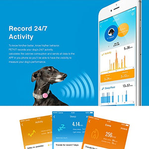 PETKIT Pet Activity Monitor for Dogs and Cats - Activity Monitoring - Sleep Tracking - Calorie Expenditure - Mood Detection - Health Analysis