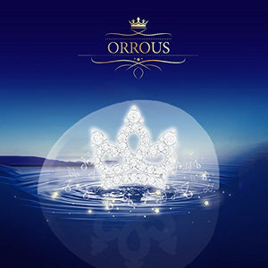 ORROUS & CO Women's 18K White Gold Plated Cubic Zirconia Princess Crown Stud Earrings