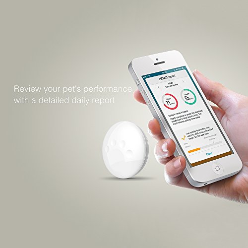 PETKIT Pet Activity Monitor for Dogs and Cats - Activity Monitoring - Sleep Tracking - Calorie Expenditure - Mood Detection - Health Analysis